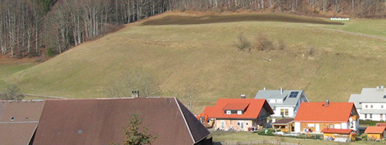 Schwarzwaldhaus_Siedlung